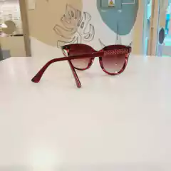 LENTE DE SOL - PHILIPPE ROSSET en internet