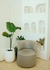 Sillón OLI - comprar online