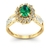 Anel de Formatura de Biomedicina Magnus Flos Ouro 18k - comprar online