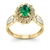 Anel de Formatura de Nutrição Magnus Flos Ouro 18k - comprar online