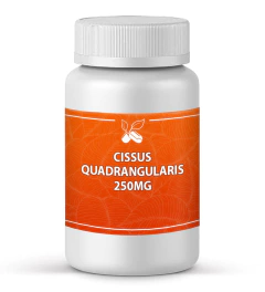 CISSUS QUADRANGULARIS 250MG 60 CÁPSULAS