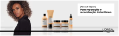 Banner da categoria Absolut Repair Gold Quinoa + Protein