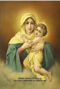 Lámina MTA - comprar online