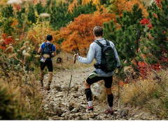 BASTÃO DE CAMINHADA RETRÁTIL NORDIC PRATA NATUREHIKE - comprar online