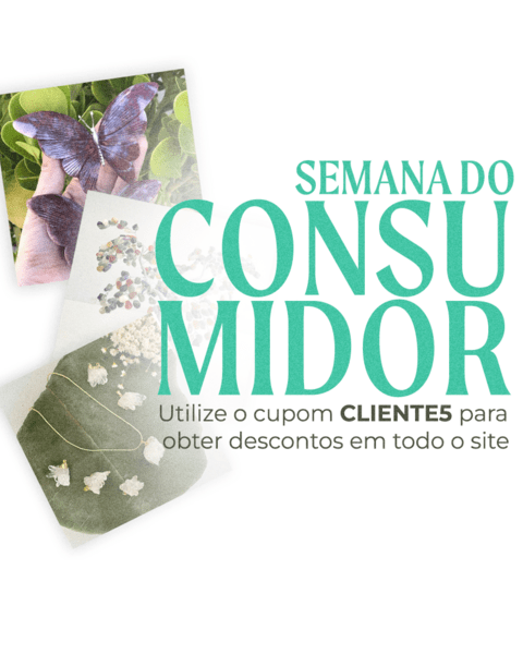 Carrossel 1