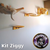 Kit Ziggy - comprar online