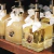 HOME SPRAY QUADRADO VERBENA & PERA 300ML DOURADO - comprar online