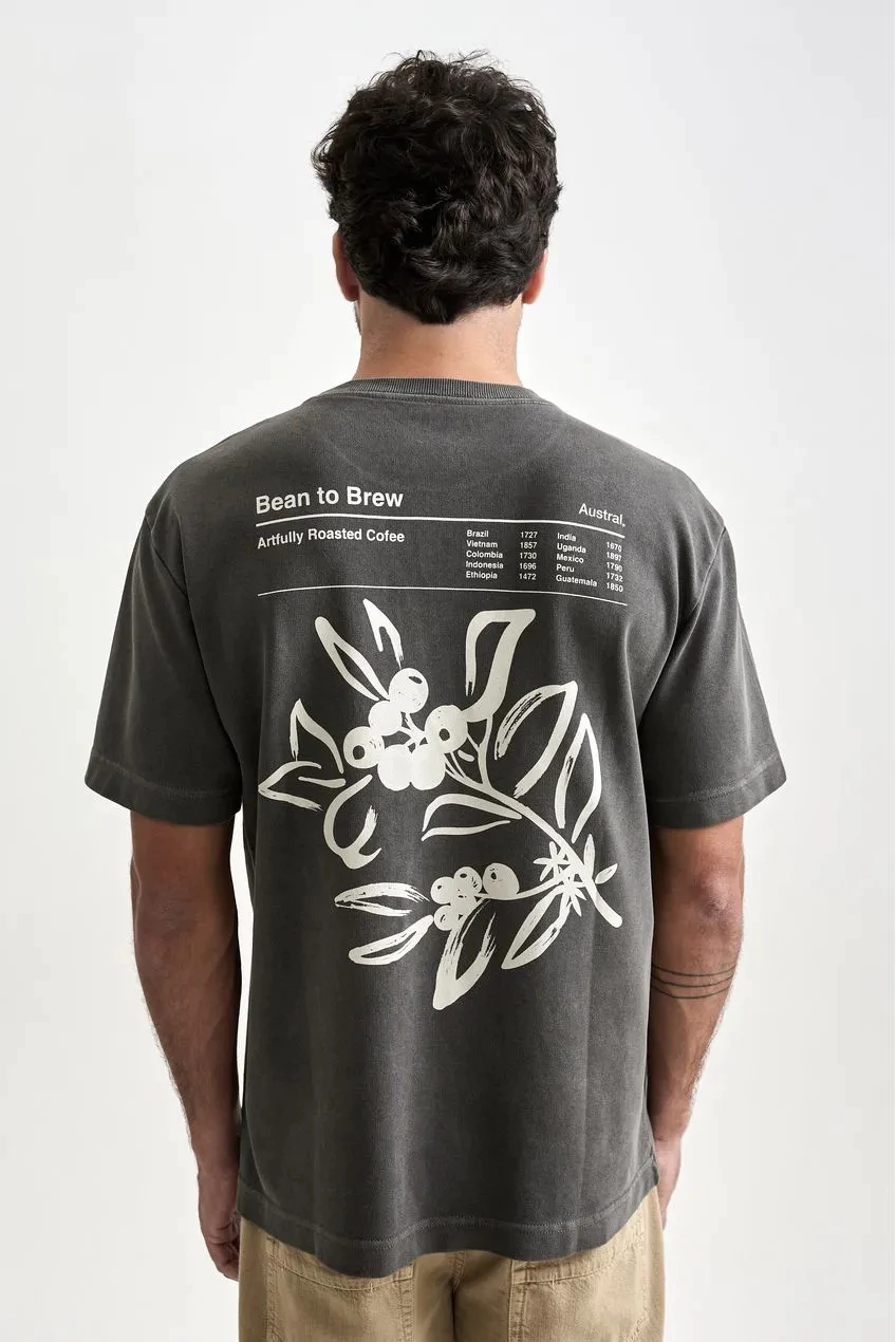 Camiseta Austral Oversized Coffee Cinza