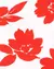 Kit Body Regata Carter's Floral - comprar online