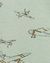 Kit Body Carter's Transportes - loja online