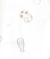 Imagem do KIT BODY CARTER'S 07 PEÇAS - COOKIES