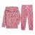 Conjunto Moletom Flanelado Gap Graphic