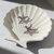 Aros Little Starfish plateados