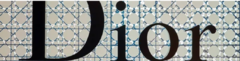 Banner de la categoría Dior B23