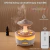 HUMIDIFICADOR EN FORMA DE HONGO en internet