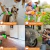 MANGUERA EXPANDIBLE MAGIC HOSE 22,5 M en internet
