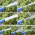MANGUERA EXPANDIBLE MAGIC HOSE 22,5 M - tienda online