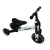 SCOOTER TRICICLO