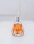 Brand Collection n065 25ml- Referência Olfativa Angé ou Démon Givenchy