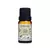 Essência Capim Limão Caszulo - 10ml