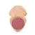 Blush Compacto Glass - Ruby Rose Linha Glass
