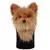 Funda de Driver Perro | Nuevo