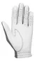 Guante FootJoy Spectrum | Nuevo - comprar online