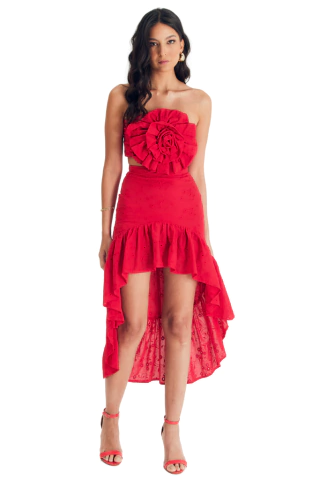 Top Red Rose
