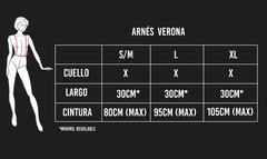 Arnes VERONA
