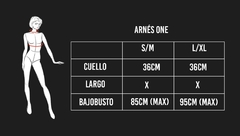 Arnes One