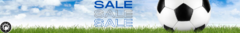 Banner de la categoría SALE