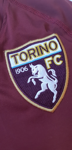 Torino 2008/09 (home) na internet