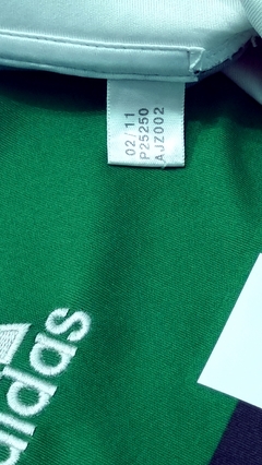 Imagem do Palmeiras 2010 (third)