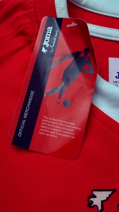 Charlton 2006 (home)