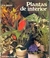 Plantas de Interior (em Espanhol) - Autor: Rob Herwig (1981) [usado]