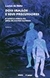 Dois Irmãos e seus Precursores. o Mito e a Bíblia na Obra... - Autor: Lucius de Mello (2014) [usado]