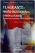 Flagrante e Prisão Provisória em Casos de Furto - Autor: Fabiana Costa Oliveira Barreto (2007) [usado]