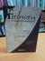 Filosofia e Modernidade: Reflexão sobre o Conhecimento - Autor: Daniel Pansarelli, Suze Piza (orgs.) (2008) [seminovo]