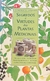 Segredos e Virtudes das Plantas Medicinais - Autor: Não Consta (1999) [usado]