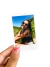Combinho de Polaroids na internet