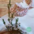 Body Amapola - Mangas cortas - comprar online