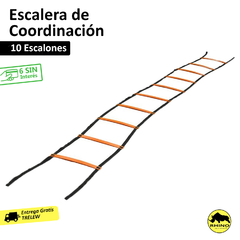 Escalera de Coordinación 10 Escalones