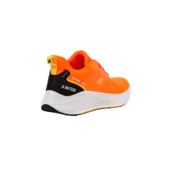 A NATION - EVERGLADE W en internet