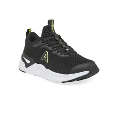ARCO IV NEGRO LIMA