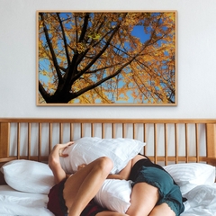 Cuadro en marco madera Kiri Box/ Obras de Autor/ De la serie ¨Sentir el Otoño¨ (Recoleta, Bs. As. 2023)/ Fotografía de Mercedes Giancarelli @mgianarte