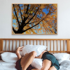 Cuadro en marco madera Kiri Box/ Obras de Autor/ De la serie ¨Sentir el Otoño¨ (Recoleta, Bs. As. 2023)/ Fotografía de Mercedes Giancarelli @mgianarte - 1920®objetos de diseño 
