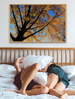 Cuadro en marco madera Kiri Box/ Obras de Autor/ De la serie ¨Sentir el Otoño¨ (Recoleta, Bs. As. 2023)/ Fotografía de Mercedes Giancarelli @mgianarte - comprar online