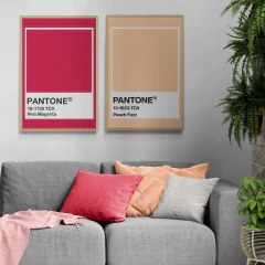 SET de 2 Cuadros en marco madera Kiri Box/ Modelo 628/ Incluye los modelos 491 + 627 (Pantone 2023 Viva Magenta & Pantone 2024 Peach Fuzz)