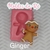 Molde Ginger na internet