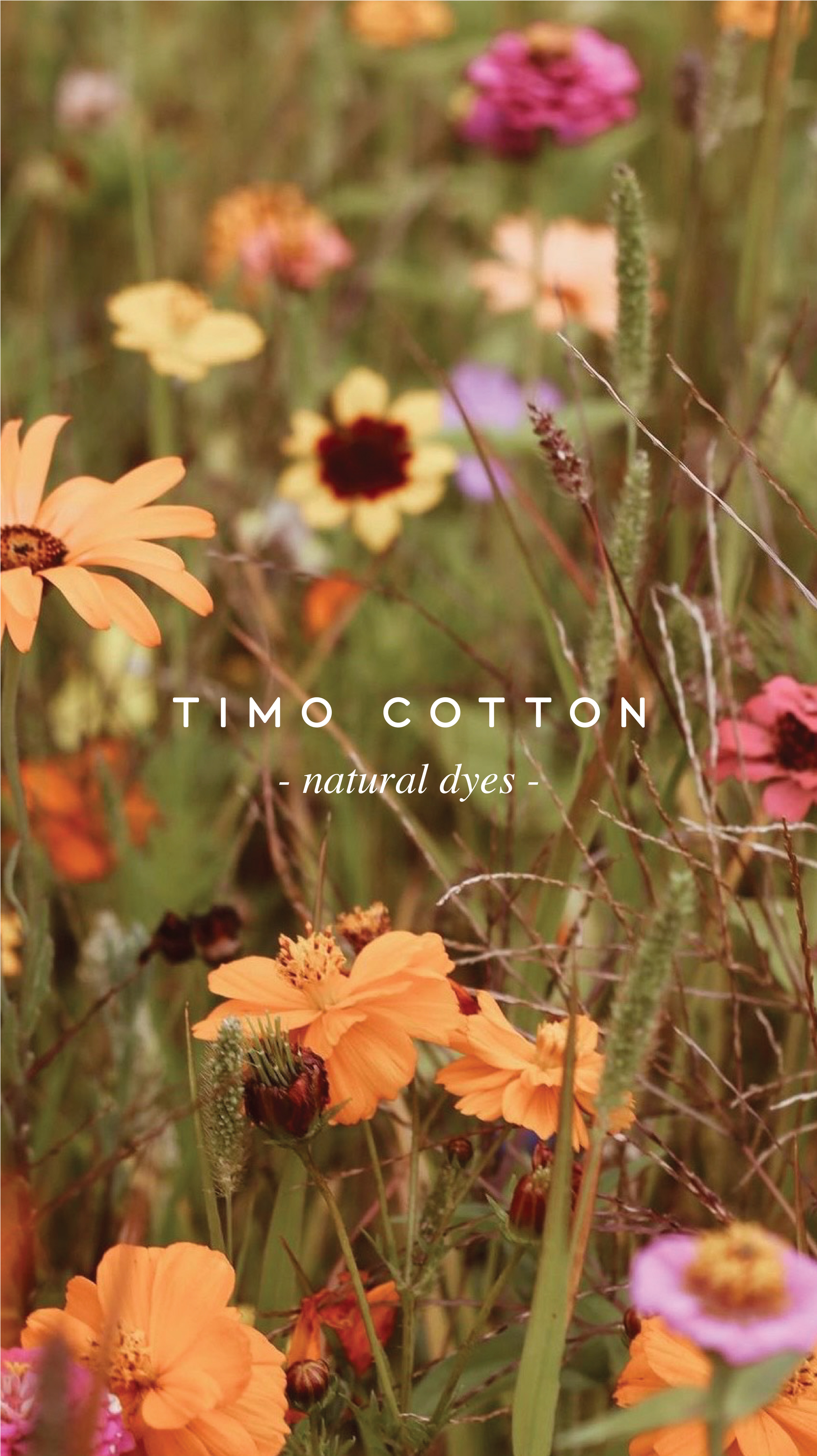 Banner de Timo cotton